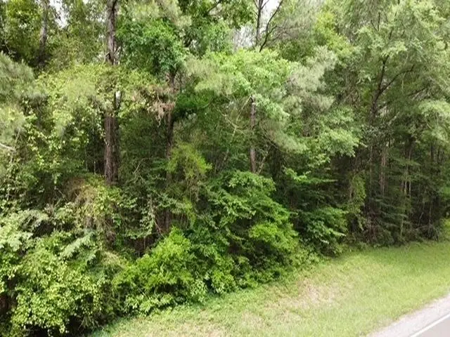 5735 Fm 2798, Livingston, TX 77351 - #3