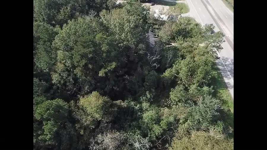 637 E Gibson Street, Jasper, TX 75951 - Image #3