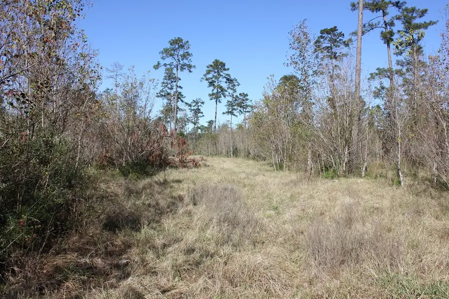 PID 11666 Us 287, Corrigan, TX 75939 - Image #2