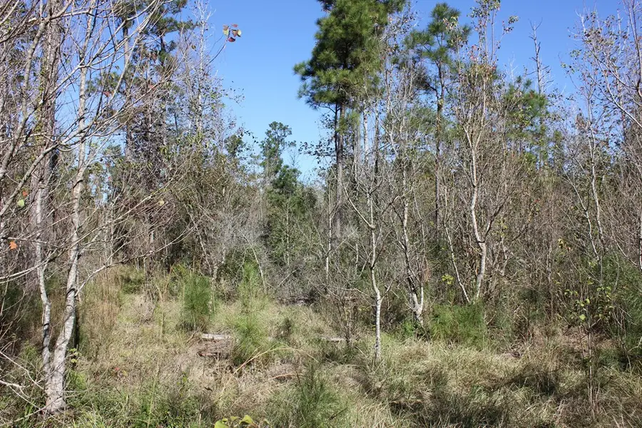 PID 11666 Us 287, Corrigan, TX 75939 - Image #3