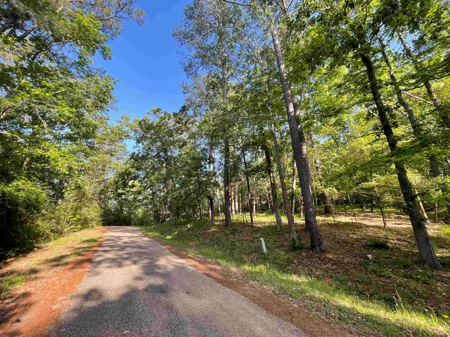 179 Woodsedge Drive, Brookeland, TX 75931 - #2