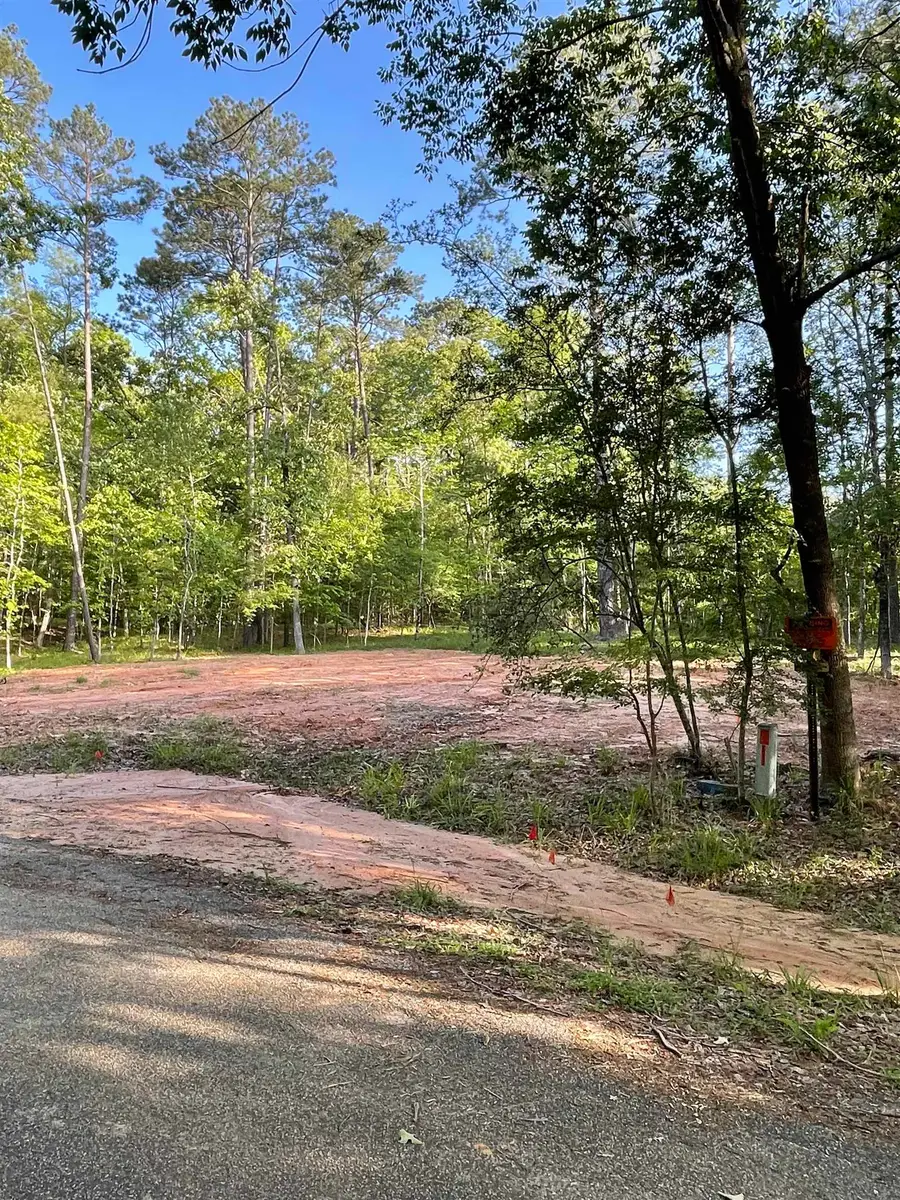 179 Woodsedge Drive, Brookeland, TX 75931 - #3