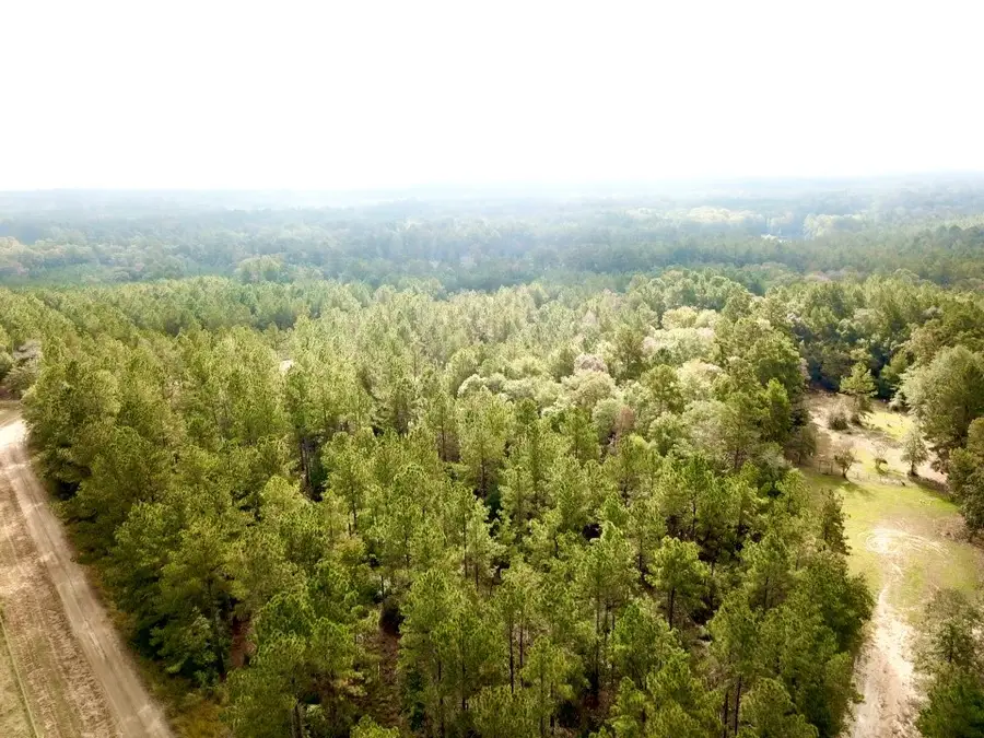6.8 ACRES Cr 2310, Woodville, TX 75979 - Image #2