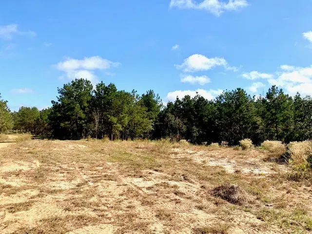 16 ACRES Cr 2310, Woodville, TX 75979 - Image #3