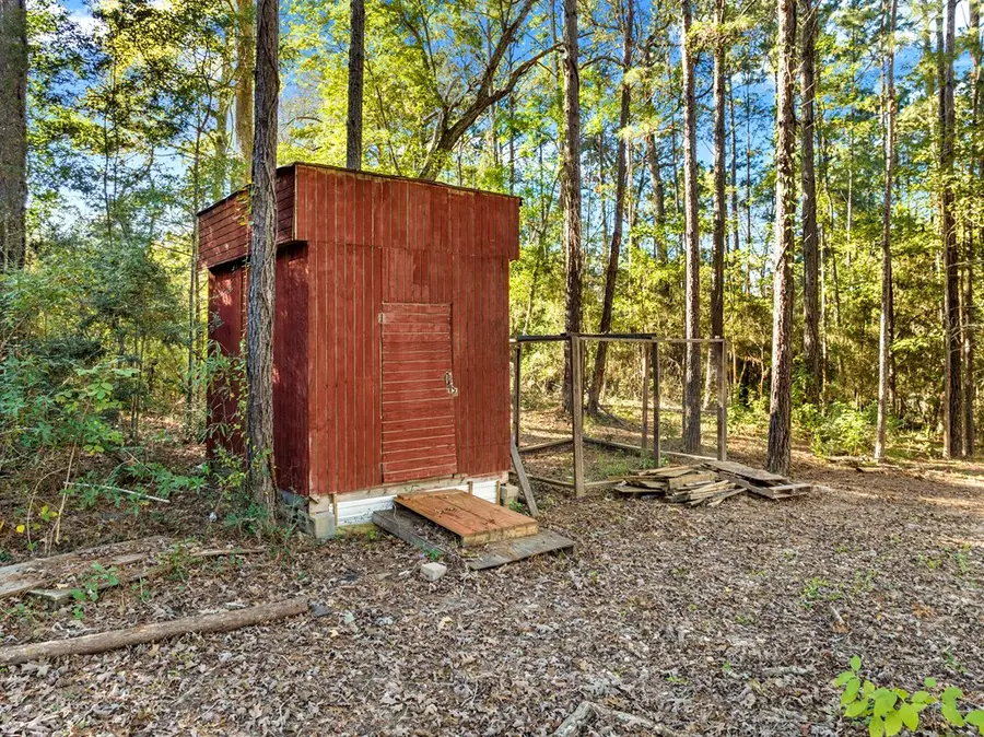 161 Cottonwood, Hemphill, TX 75948 - Image #3