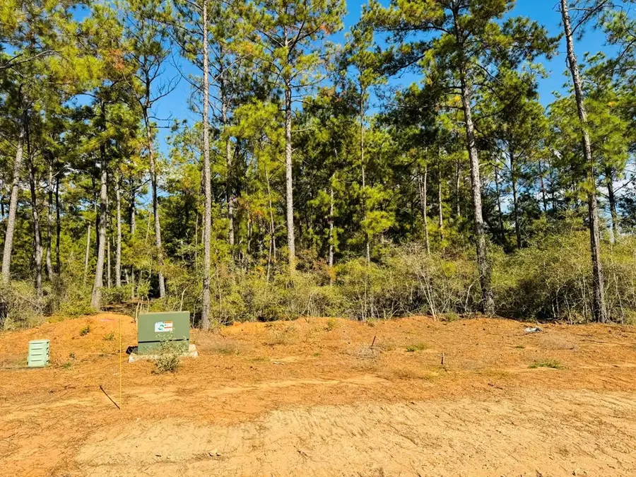 Lot 82 Lakeland Ranch, Hillister, TX 77624 - #2