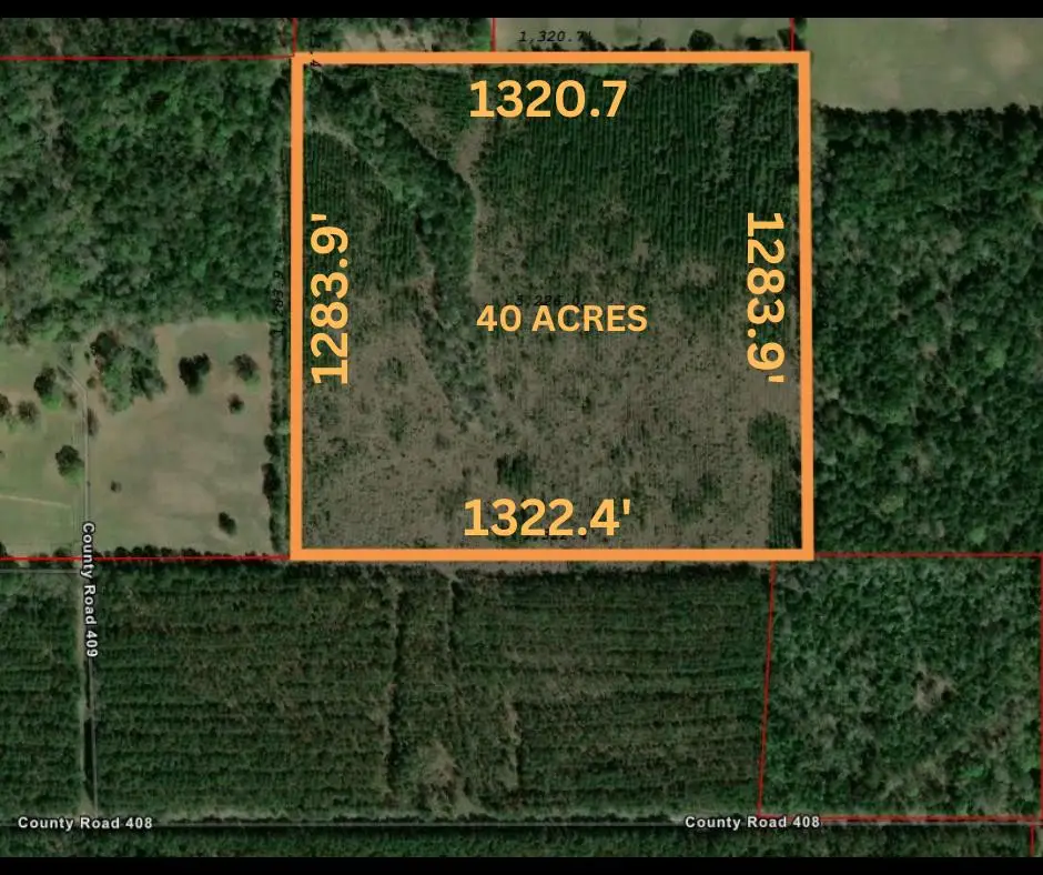 AB 963 County Road 409, Kirbyville, TX 75956 - Image #1