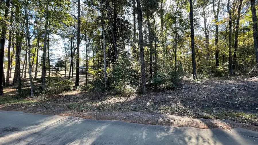 110 Pinecone Lane, Hemphill, TX 75948 - Image #2