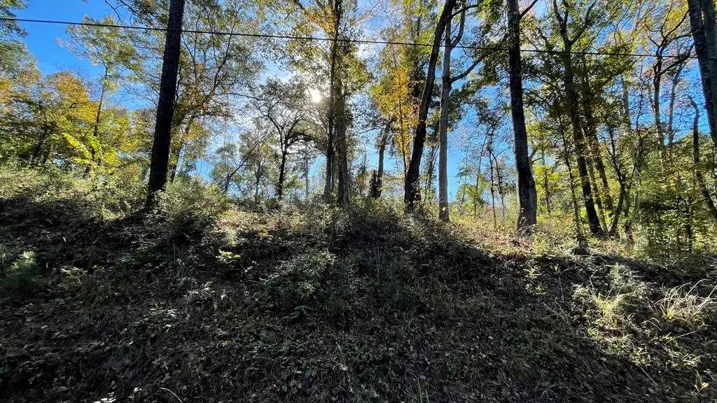 82 River Oaks Drive, Hemphill, TX 75948 - Image #1