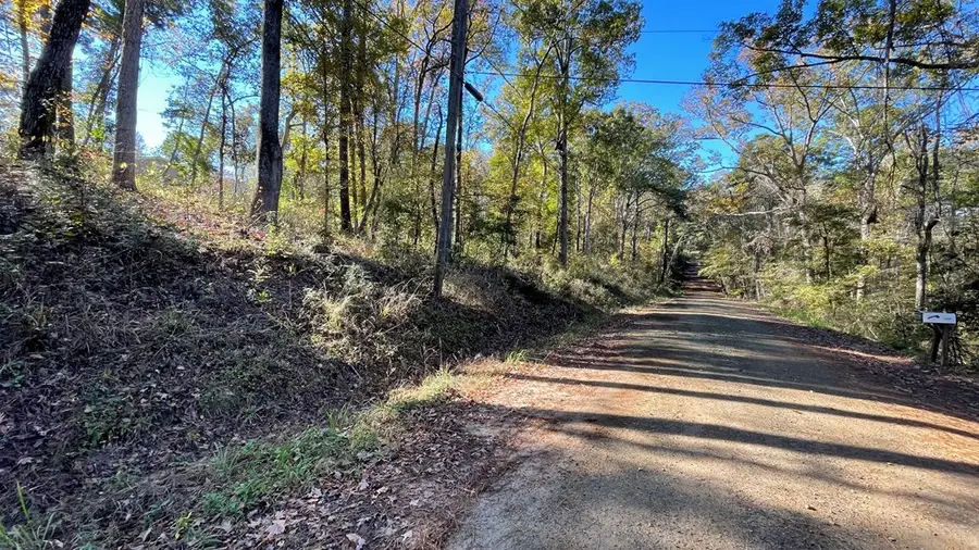 82 River Oaks Drive, Hemphill, TX 75948 - Image #3