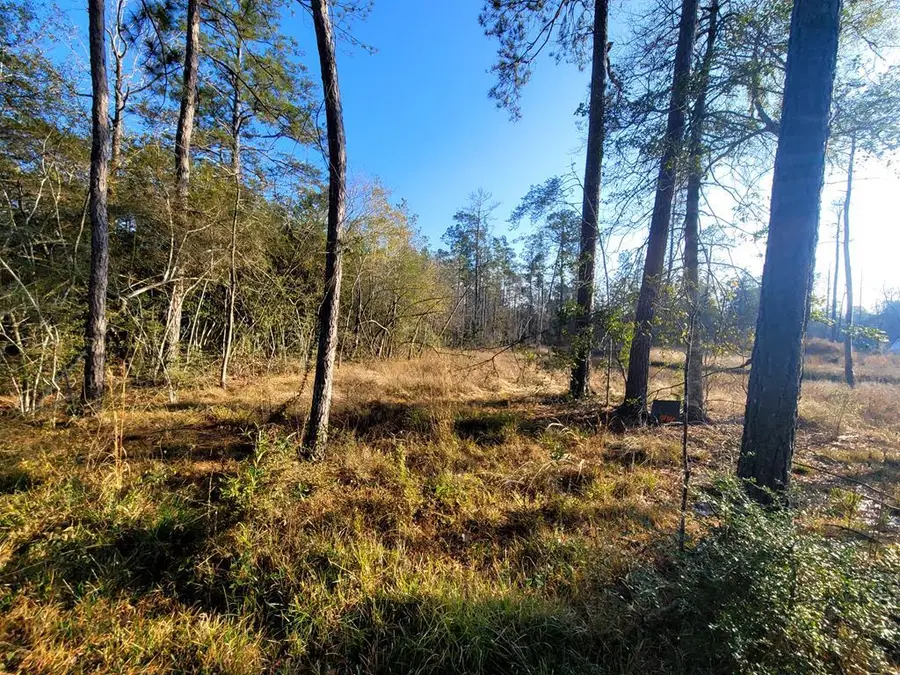 PID# 98246 County Road 892, Evadale, TX 77615 - Image #2