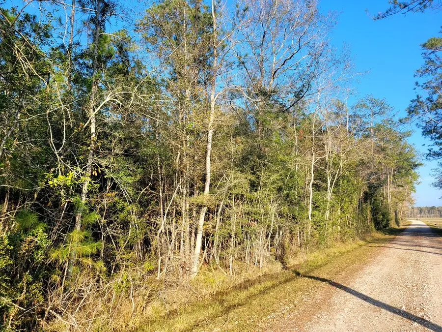 PID# 98246 County Road 892, Evadale, TX 77615 - Image #3