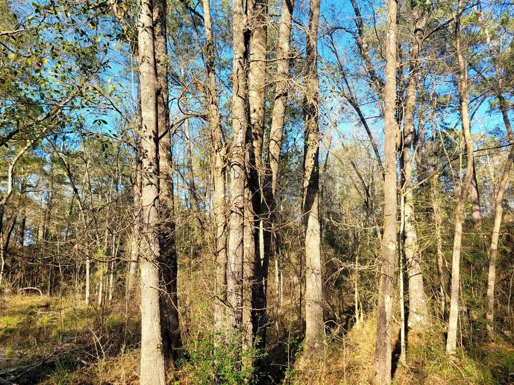 PID# 36299 County Road 828, Vidor, TX 77662 - Image #1