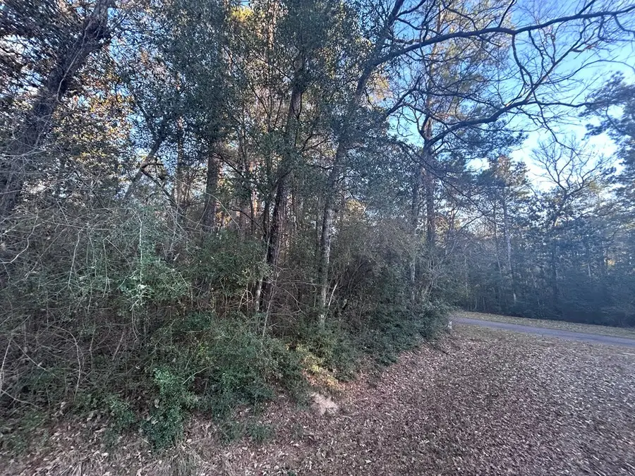 LOT 8 & 9 Chestnut Circle, Village Mills, TX 77663 - Image #2