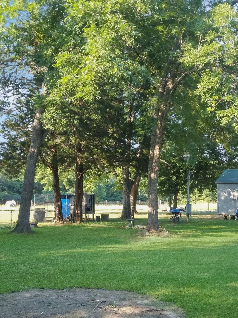 10998 Tx Hwy 19, Emory, TX 75440 - Image #3