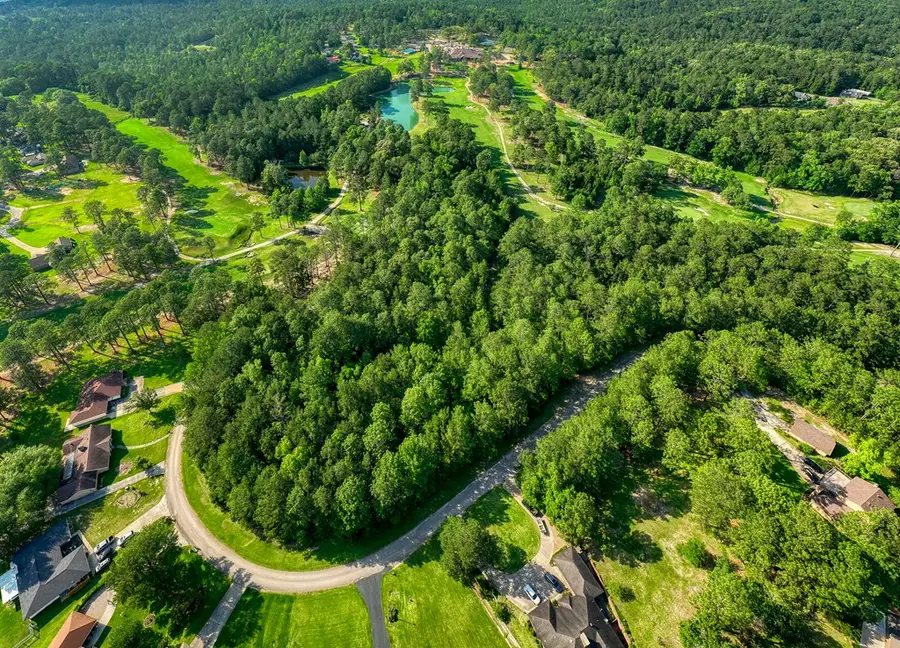 295 Masters Blvd, Sam Rayburn, TX 75951 - Image #3