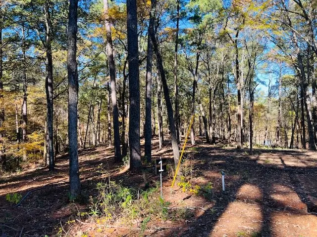 188 Whispering Pines Rd, Milam, TX 75959 - Image #3