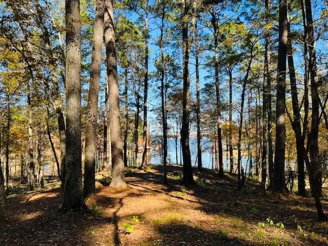 174 Whispering Pines Rd, Milam, TX 75959 - Image #2