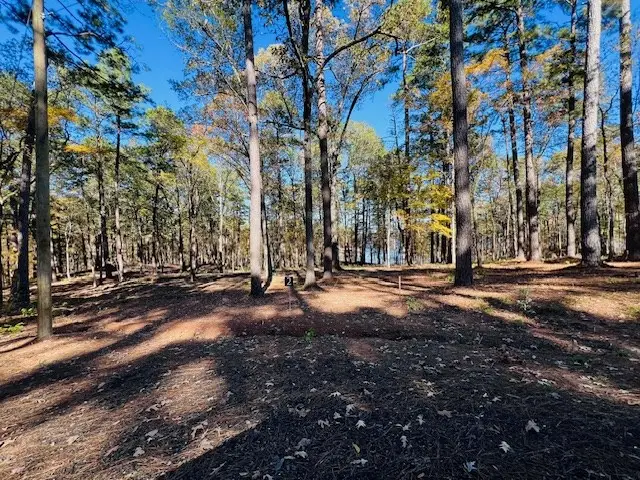 174 Whispering Pines Rd, Milam, TX 75959 - Image #3