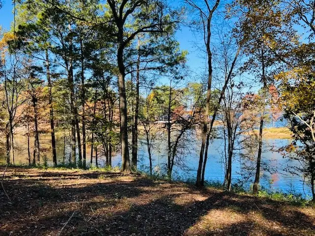 116 Whispering Pines Rd, Milam, TX 75959 - Image #2