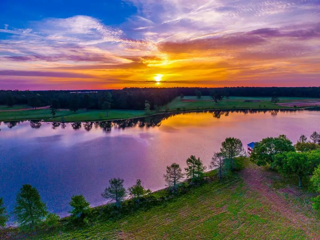 Lot 29 Lakeland Ranch, Hillister, TX 77624 - Image #1