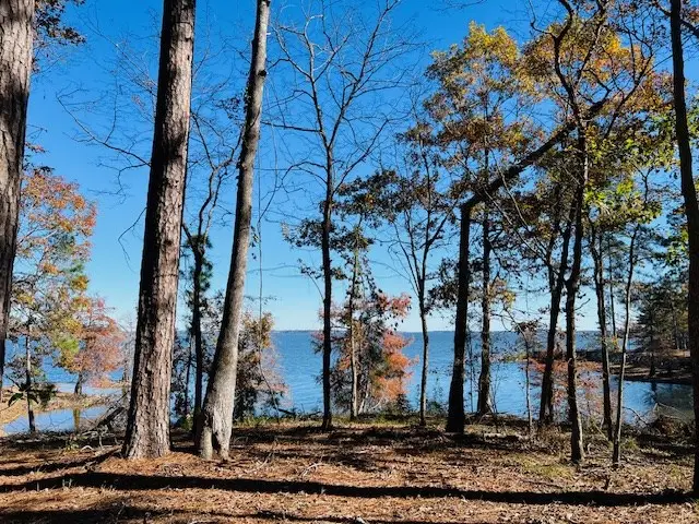 442 Mason Creek Rd, Milam, TX 75959 - Image #2