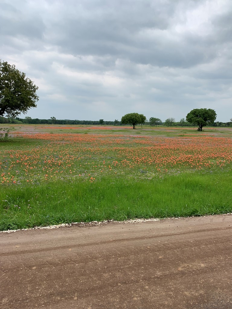 TDB Lcr 485, Mexia, TX 76667 - Image #3