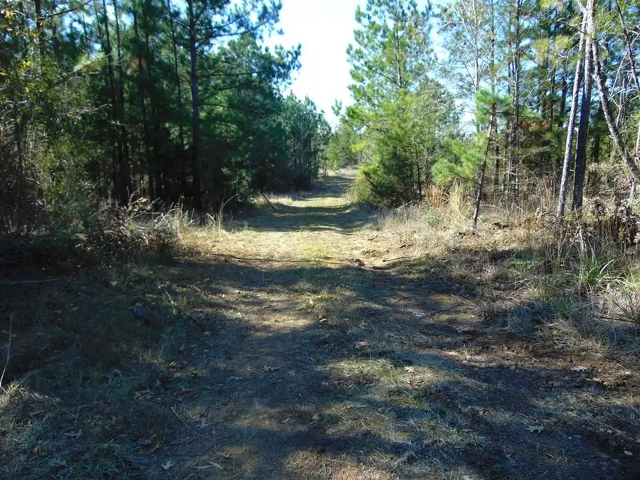 R1043 County Road 403, San Augustine, TX 75972 - Image #2