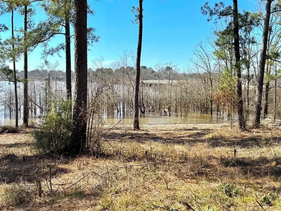 005 Fm 83, Broaddus, TX 75929 - #2