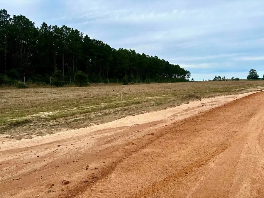 Lot 360 Lakeland Ranch, Hillister, TX 77624 - #2