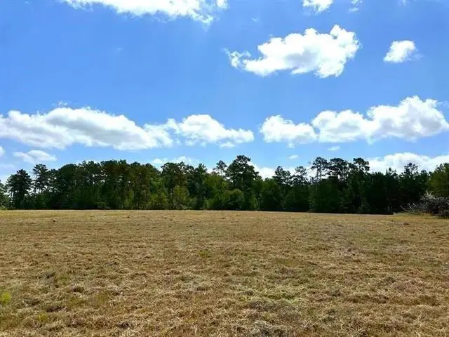 Lot 84 Lakeland Ranch, Hillister, TX 77624 - Image #2