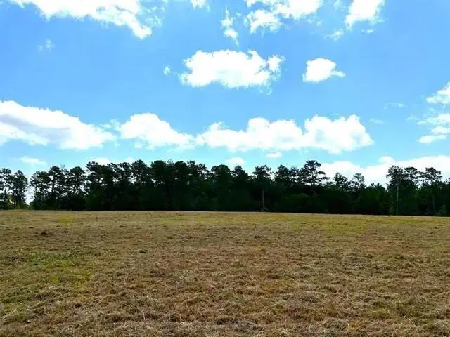 Lot 84 Lakeland Ranch, Hillister, TX 77624 - Image #3