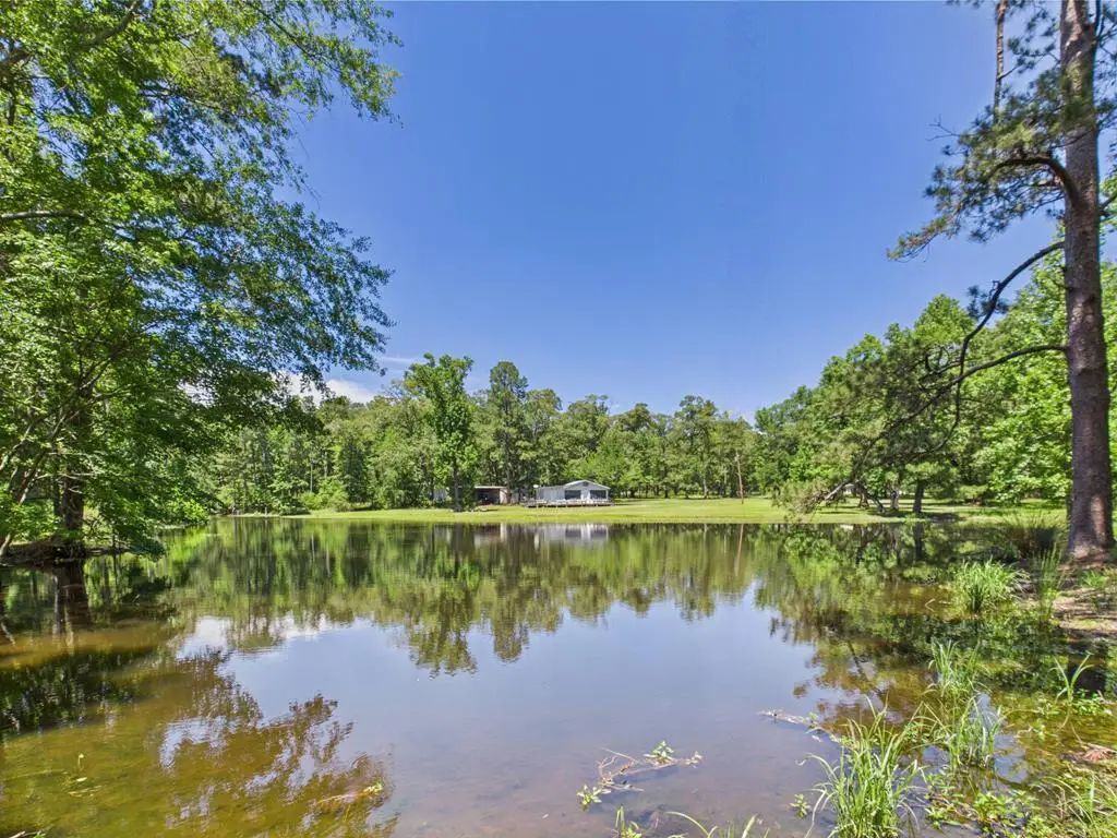 1905 Mill Creek Road, Huntington, TX 75949 - #1