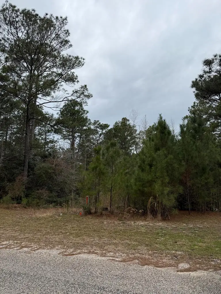 10 Pine Hollow Cove, Brookeland, TX 75931 - Image #3