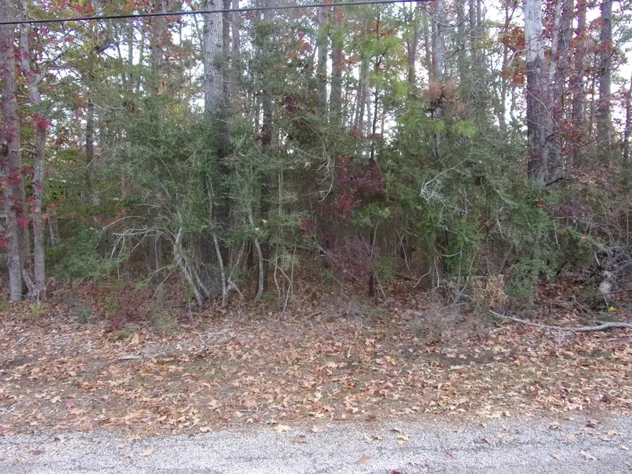 208 Pineridge, Hemphill, TX 75948 - Image #2