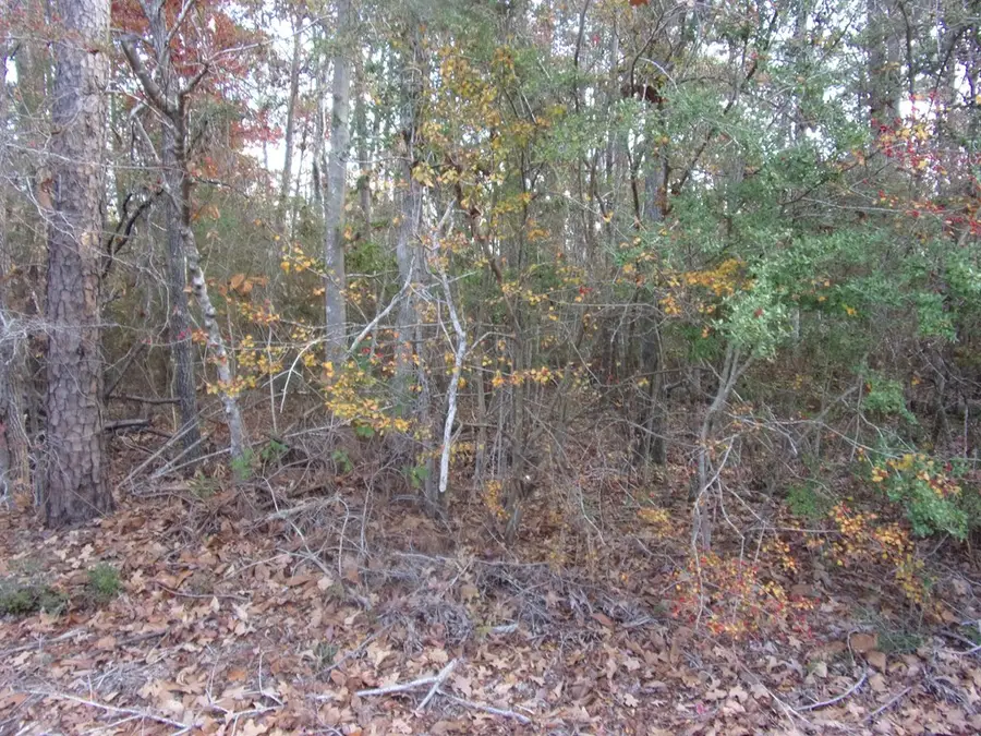 208 Pineridge, Hemphill, TX 75948 - Image #3