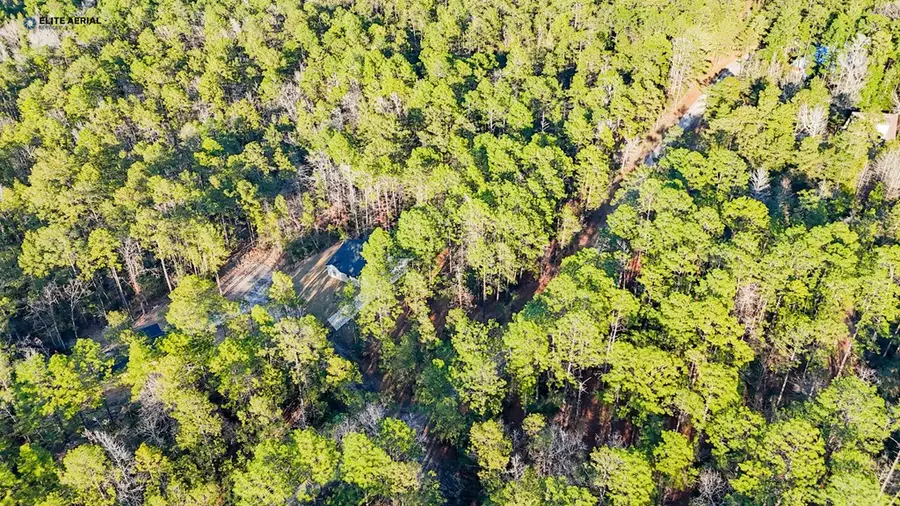 206 Tupelo Drive, Brookeland, TX 75931 - Image #2