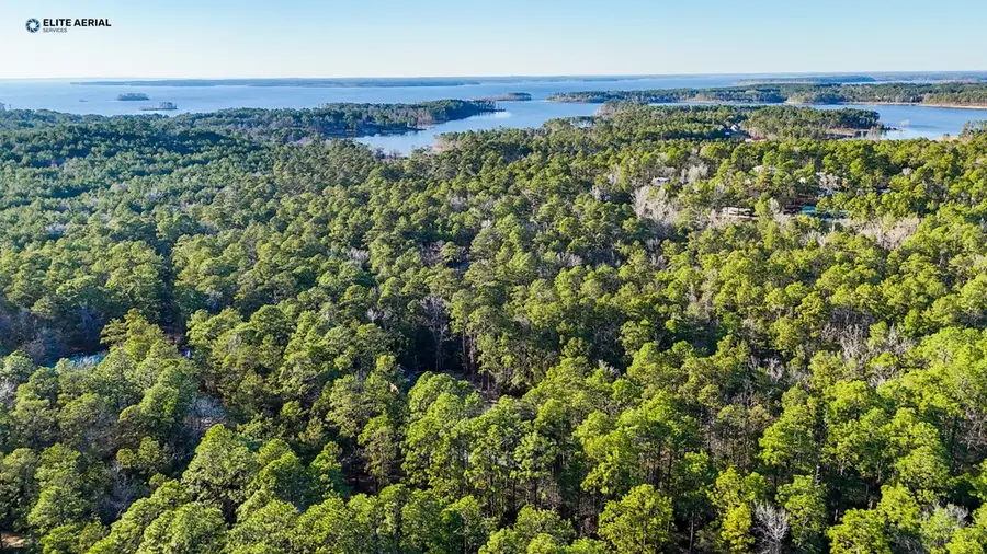 206 Tupelo Drive, Brookeland, TX 75931 - Image #3