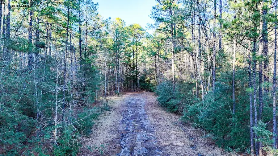 22 Sumac Drive, Brookeland, TX 75931 - Image #2