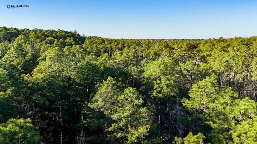 22 Sumac Drive, Brookeland, TX 75931 - Image #3