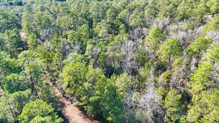 283 Tan Oak, Brookeland, TX 75931 - Image #2