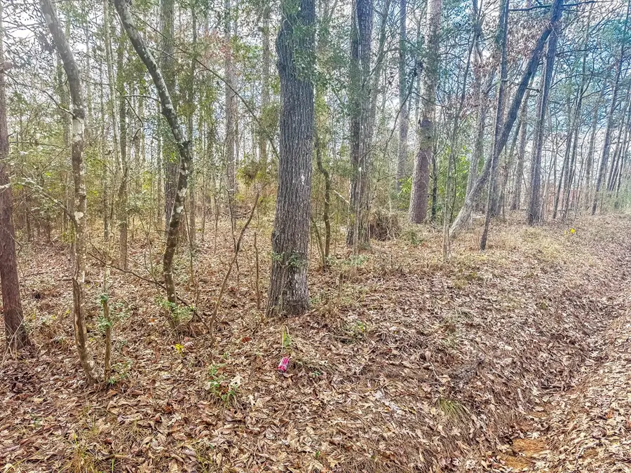 Parcel 55065 Garrison St, Zavalla, TX 75980 - Image #2