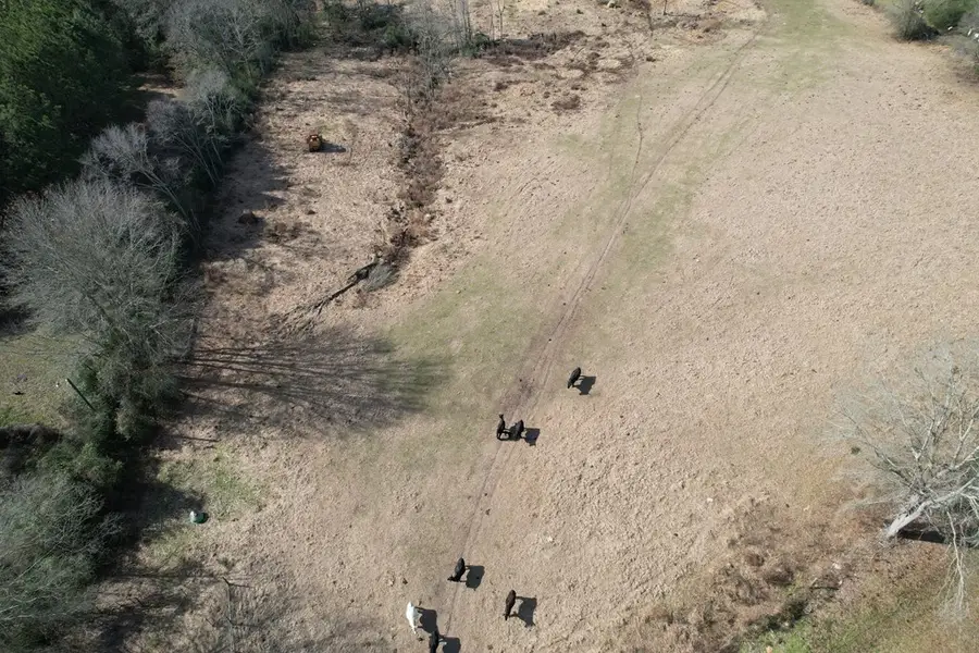 R28011 Fm 1971, Garrison, TX 75946 - #2