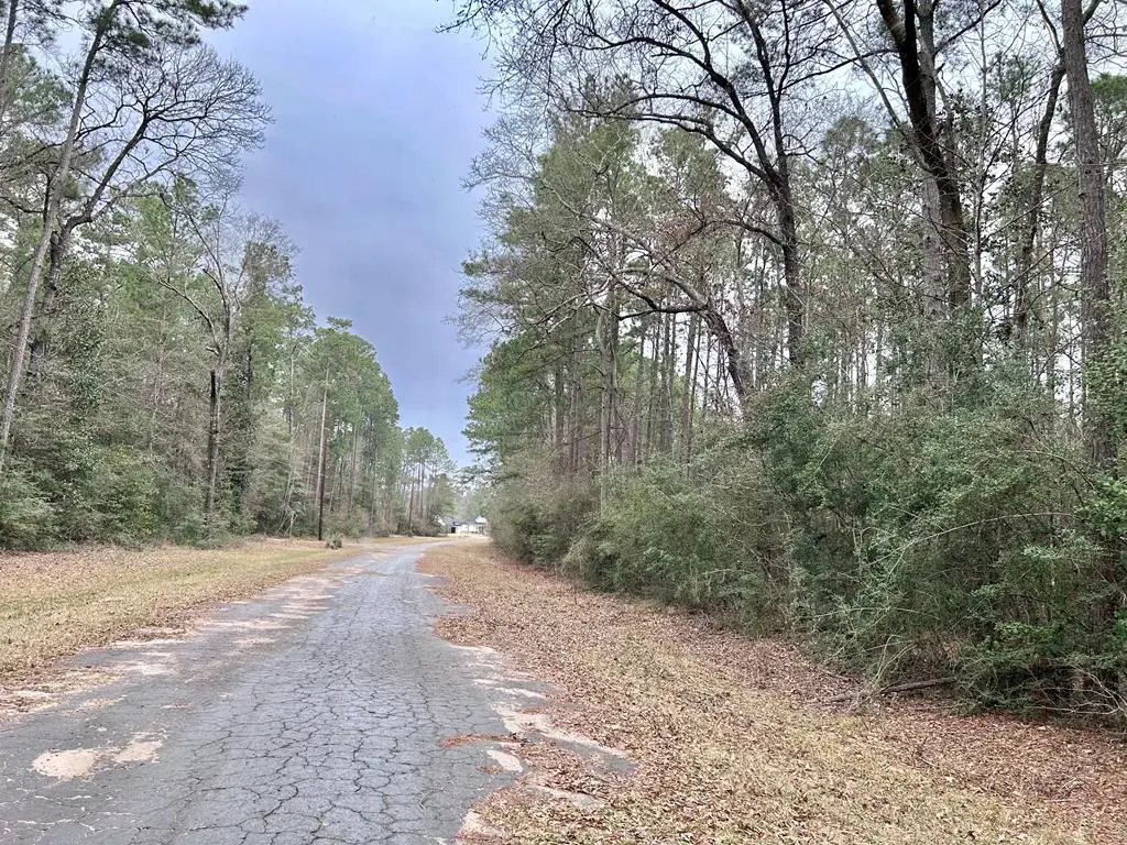 LOT 20 Hackberry Drive, Wildwood, TX 77625 - Image #1