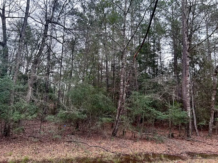 LOT 20 Hackberry Drive, Wildwood, TX 77625 - Image #2