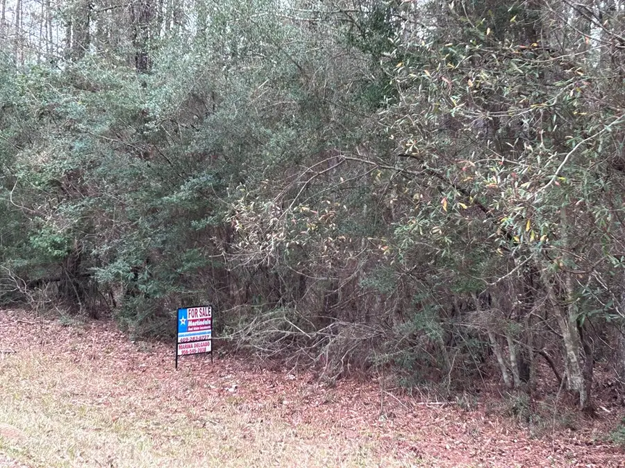 LOT 5 Jacaranda, Village Mills, TX 77663 - Image #3