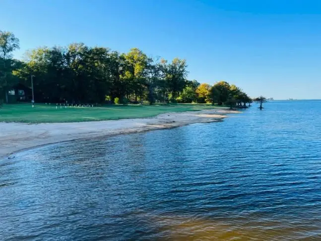 196 Commodore Drive, Hemphill, TX 75948 - Image #2