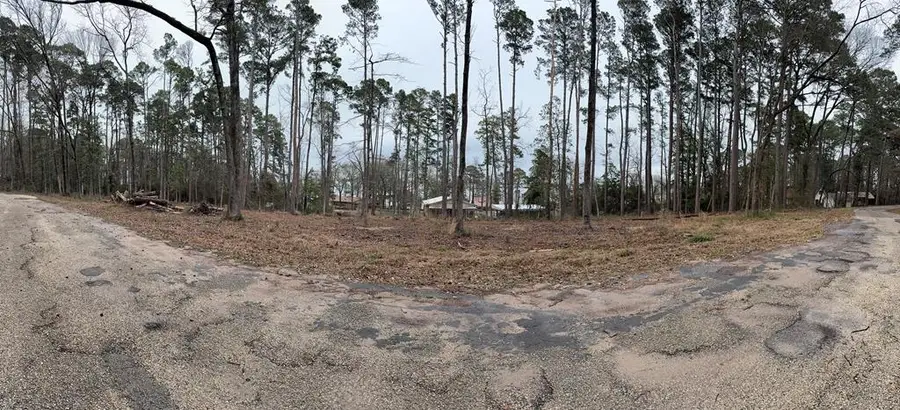 196 Commodore Drive, Hemphill, TX 75948 - Image #3