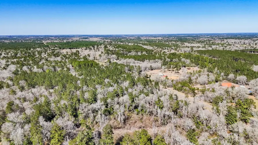 11209 County Road 509, Kirbyville, TX 75956 - Image #2