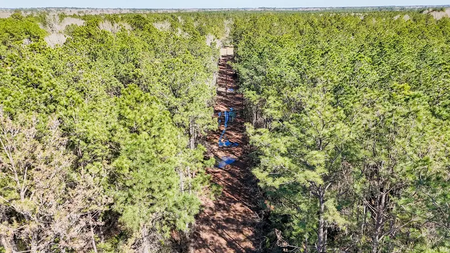 11209 County Road 509, Kirbyville, TX 75956 - Image #3